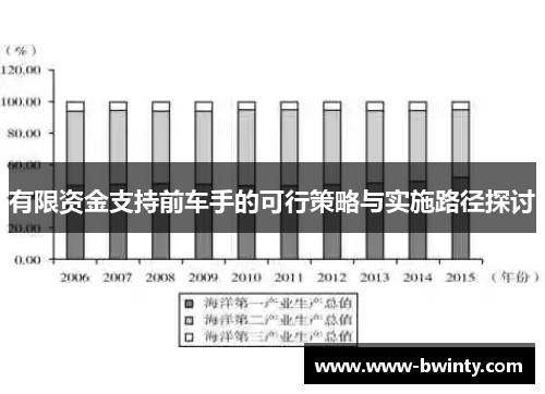 有限资金支持前车手的可行策略与实施路径探讨