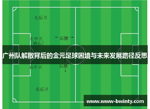 广州队解散背后的金元足球困境与未来发展路径反思