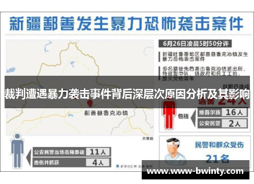 裁判遭遇暴力袭击事件背后深层次原因分析及其影响