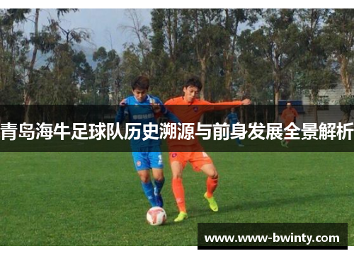 青岛海牛足球队历史溯源与前身发展全景解析